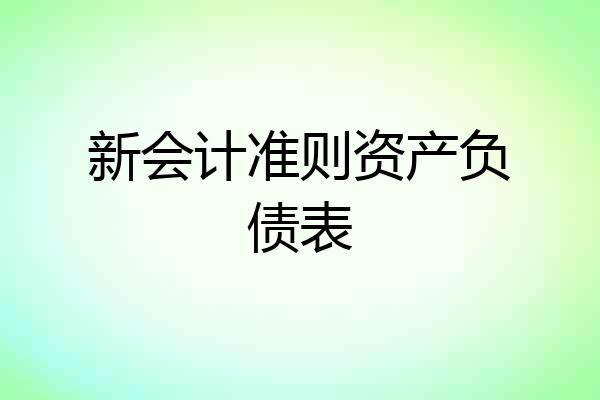 新会计准则资产负债表