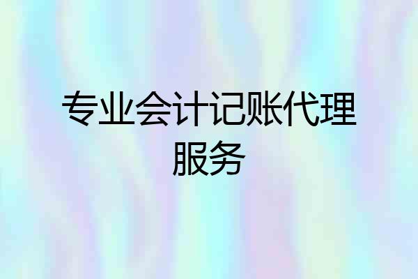 专业会计记账代理服务
