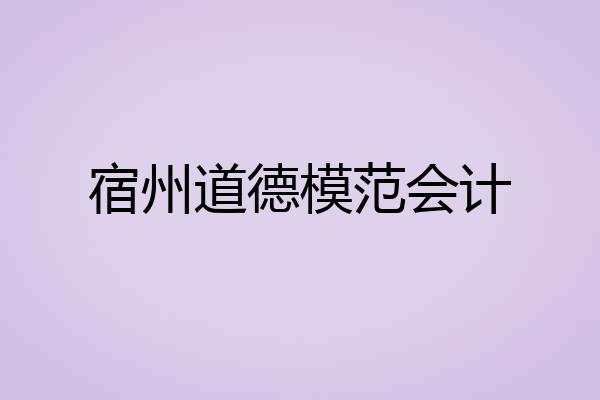 宿州道德模范会计
