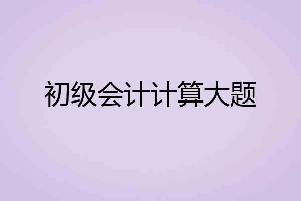 初级会计计算大题