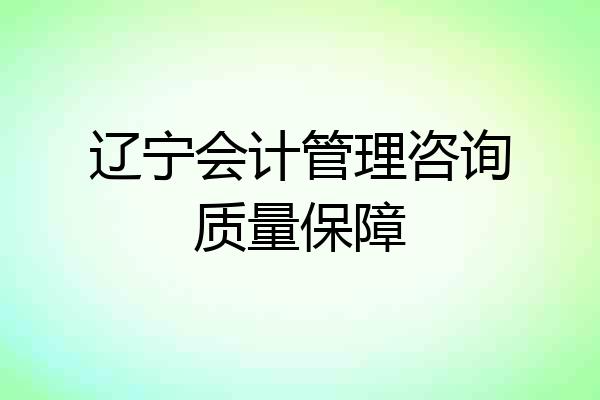 辽宁会计管理咨询质量保障