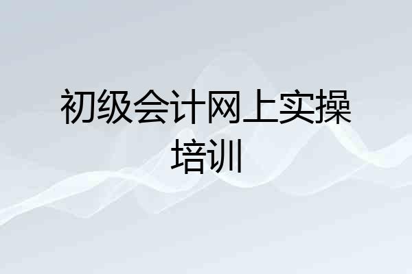 初级会计网上实操培训