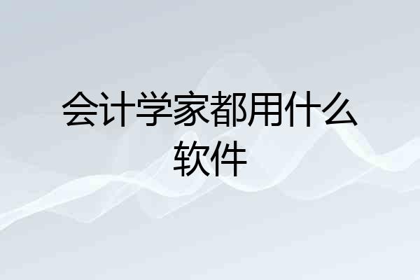 会计学家都用什么软件