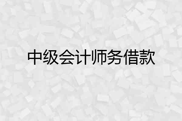 中级会计师务借款