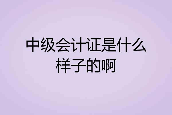 中级会计证是什么样子的啊