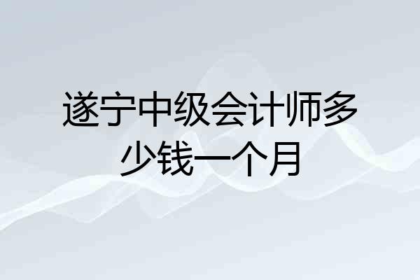 遂宁中级会计师多少钱一个月