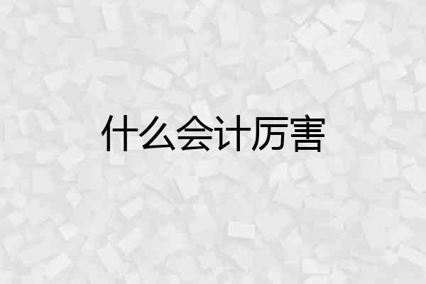 什么会计厉害