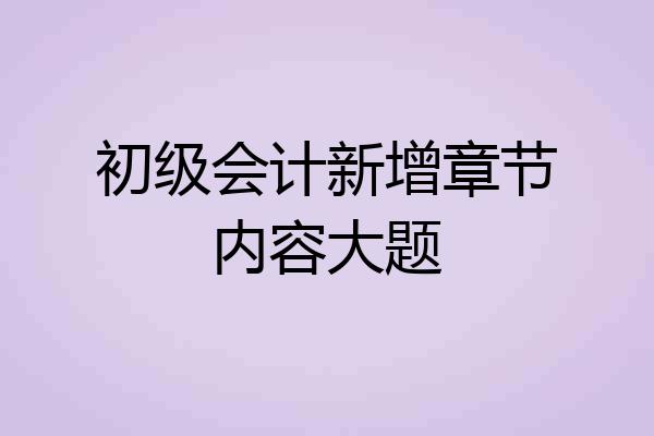 初级会计新增章节内容大题