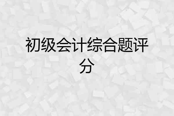 初级会计综合题评分