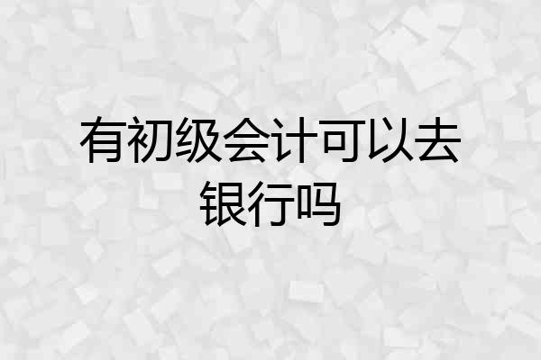 有初级会计可以去银行吗