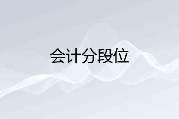 会计分段位