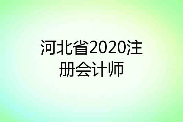 河北省2020注册会计师