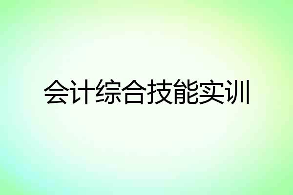 会计综合技能实训