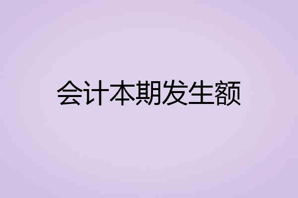 会计本期发生额