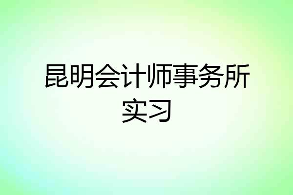 昆明会计师事务所实习