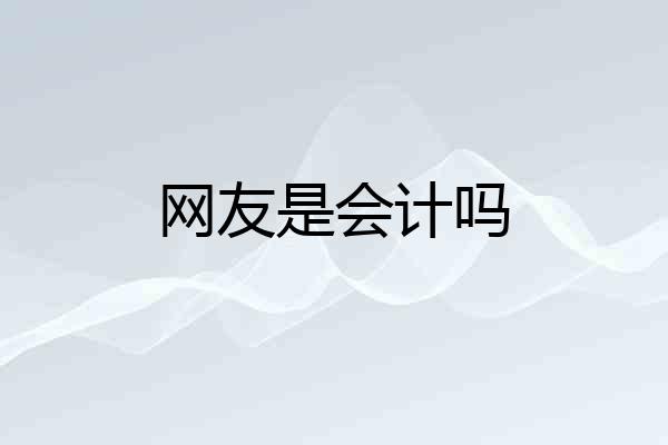 网友是会计吗