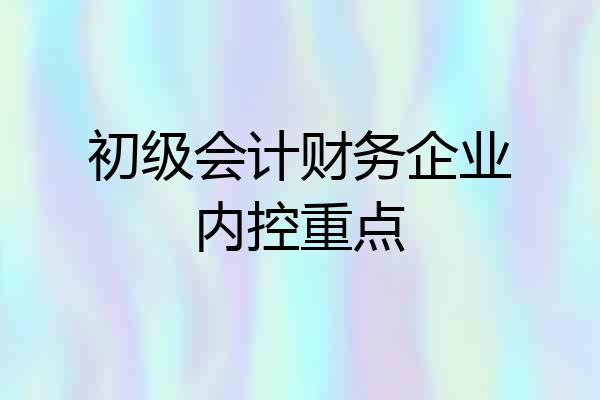 初级会计财务企业内控重点