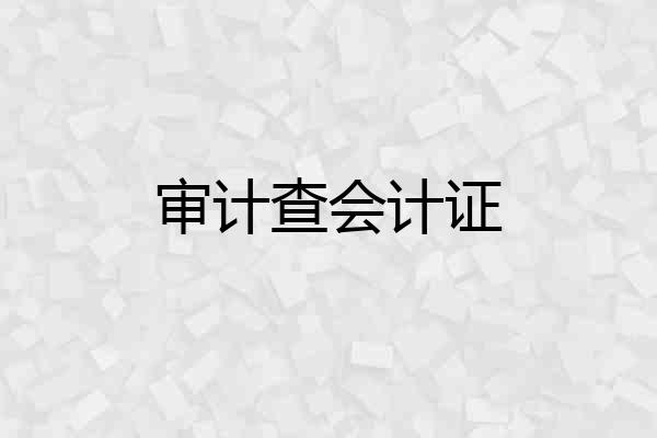 审计查会计证