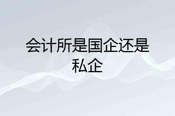 会计所是国企还是私企