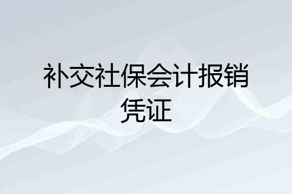 补交社保会计报销凭证