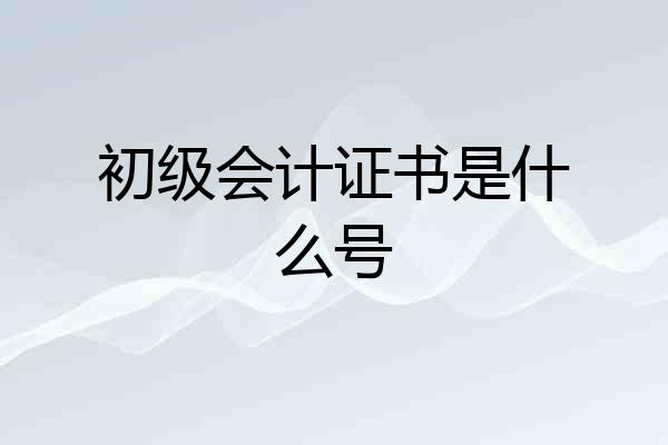 初级会计证书是什么号