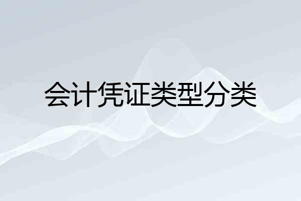 会计凭证类型分类