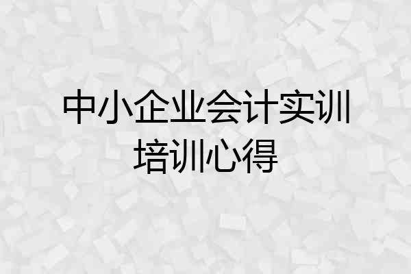 中小企业会计实训培训心得