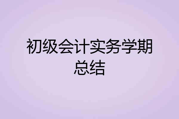初级会计实务学期总结