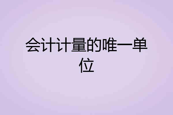 会计计量的唯一单位