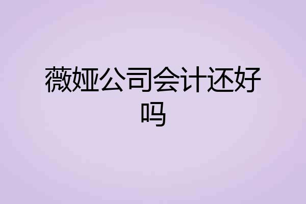 薇娅公司会计还好吗