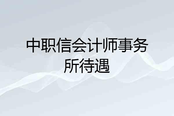 中职信会计师事务所待遇
