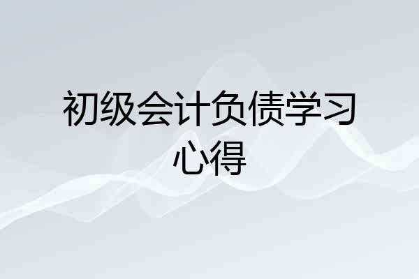 初级会计负债学习心得