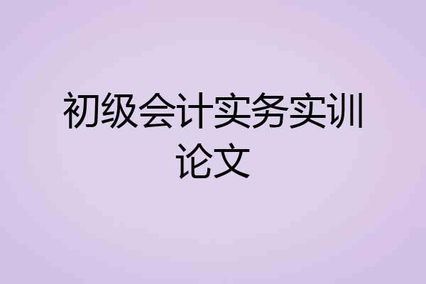 初级会计实务实训论文