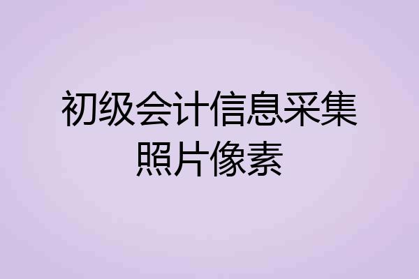 初级会计信息采集照片像素