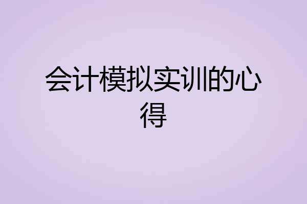 会计模拟实训的心得