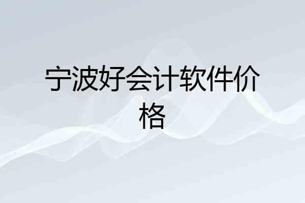 宁波好会计软件价格
