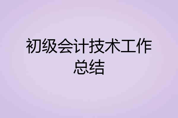 初级会计技术工作总结