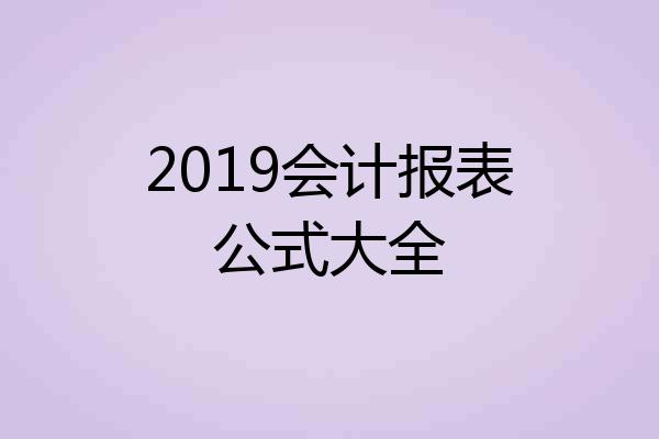2019会计报表公式大全