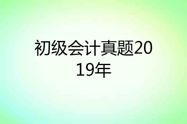 初级会计真题2019年