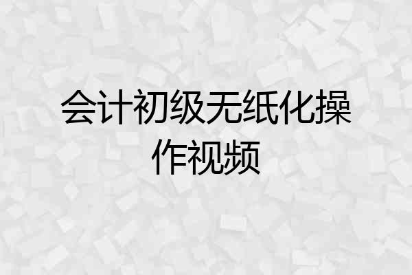 会计初级无纸化操作视频