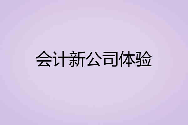 会计新公司体验