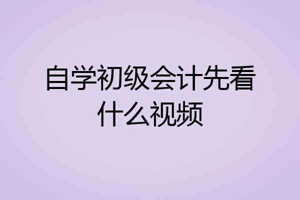 自学初级会计先看什么视频