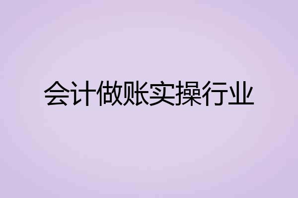 会计做账实操行业