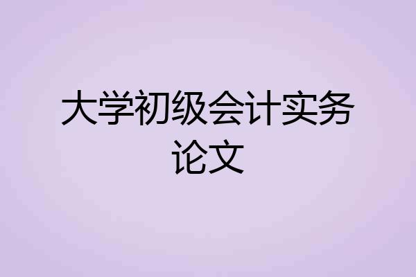 大学初级会计实务论文