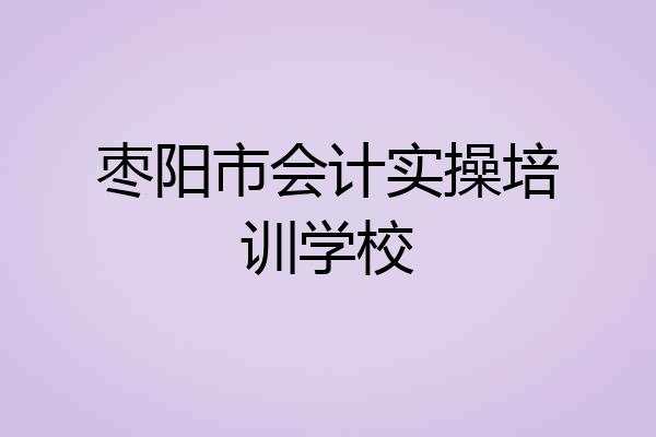 枣阳市会计实操培训学校