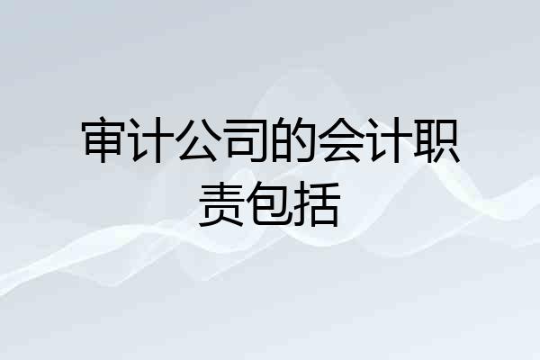 审计公司的会计职责包括