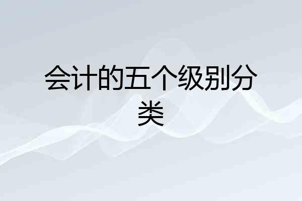 会计的五个级别分类