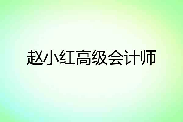 赵小红高级会计师