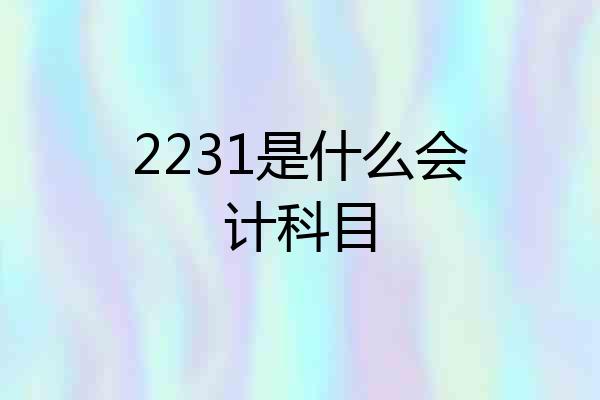 2231是什么会计科目