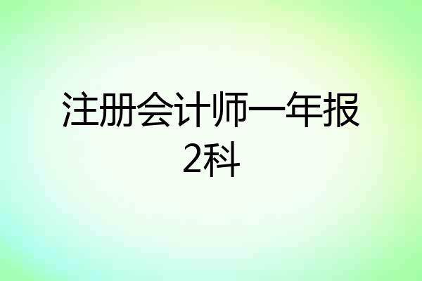 注册会计师一年报2科